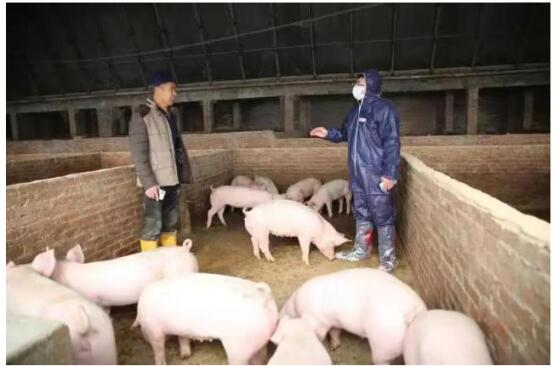 數(shù)字人民幣應(yīng)用保險+期貨.jpg 數(shù)字人民幣應(yīng)用保險+期貨.jpg